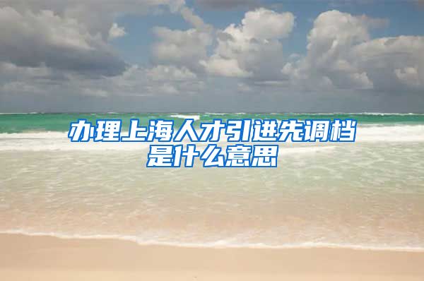 办理上海人才引进先调档是什么意思