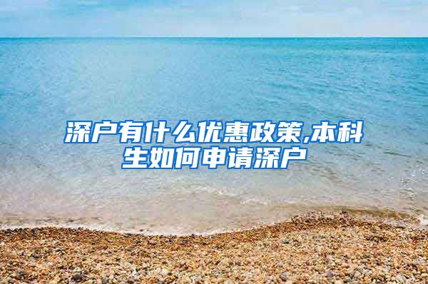 深户有什么优惠政策,本科生如何申请深户