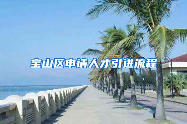 宝山区申请人才引进流程