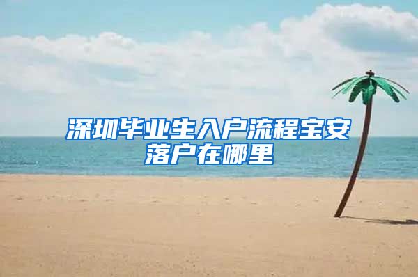 深圳毕业生入户流程宝安落户在哪里