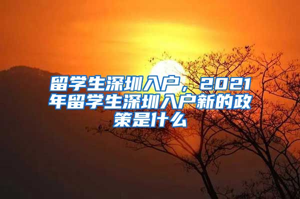 留学生深圳入户，2021年留学生深圳入户新的政策是什么