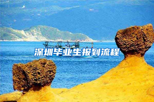 深圳毕业生报到流程