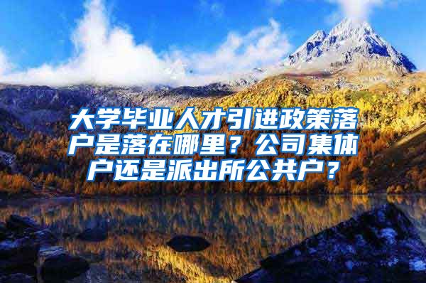 大学毕业人才引进政策落户是落在哪里？公司集体户还是派出所公共户？