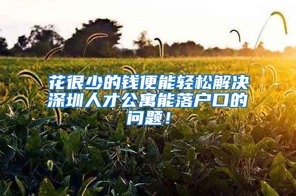 花很少的钱便能轻松解决深圳人才公寓能落户口的问题！