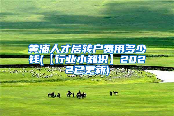 黄浦人才居转户费用多少钱(【行业小知识】2022已更新)