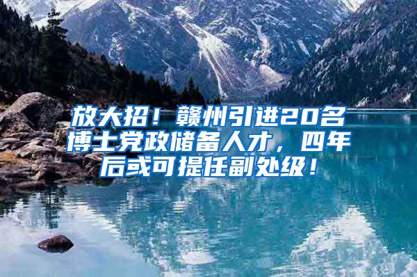 放大招！赣州引进20名博士党政储备人才，四年后或可提任副处级！