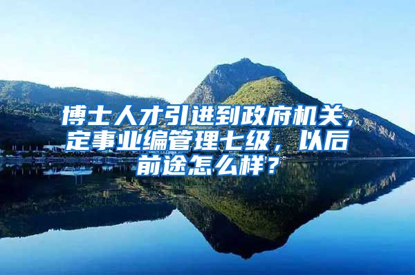 博士人才引进到政府机关，定事业编管理七级，以后前途怎么样？