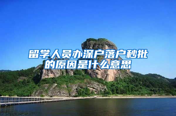 留学人员办深户落户秒批的原因是什么意思