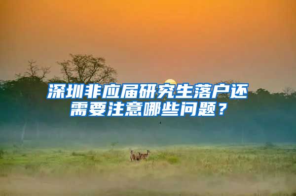 深圳非应届研究生落户还需要注意哪些问题？