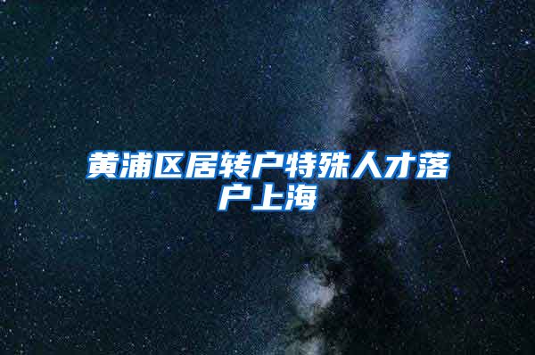 黄浦区居转户特殊人才落户上海