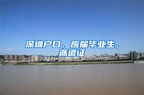 深圳户口，应届毕业生，派遣证
