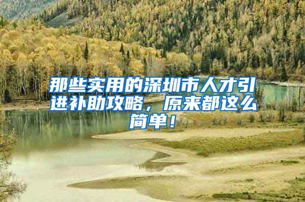 那些实用的深圳市人才引进补助攻略，原来都这么简单！