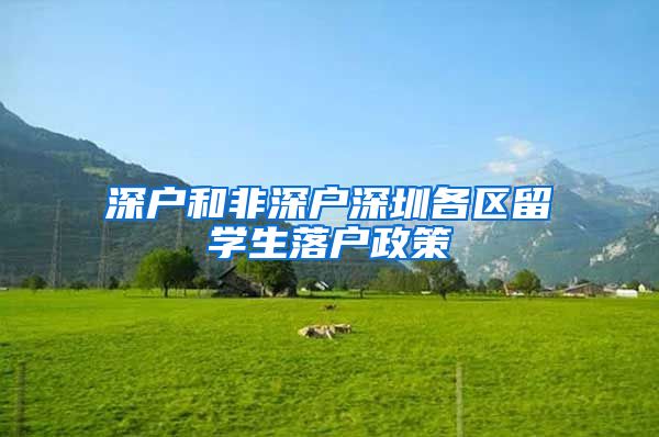 深户和非深户深圳各区留学生落户政策