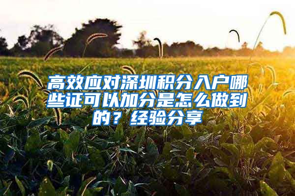 高效应对深圳积分入户哪些证可以加分是怎么做到的？经验分享