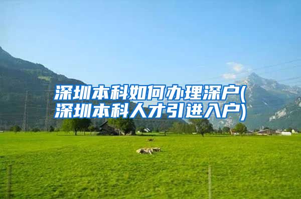 深圳本科如何办理深户(深圳本科人才引进入户)