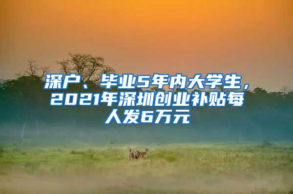 深户、毕业5年内大学生，2021年深圳创业补贴每人发6万元