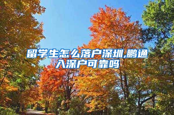 留学生怎么落户深圳,鹏通入深户可靠吗