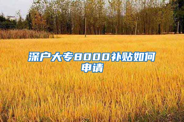 深户大专8000补贴如何申请