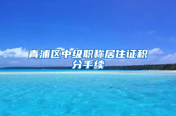 青浦区中级职称居住证积分手续