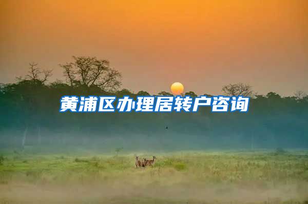 黄浦区办理居转户咨询