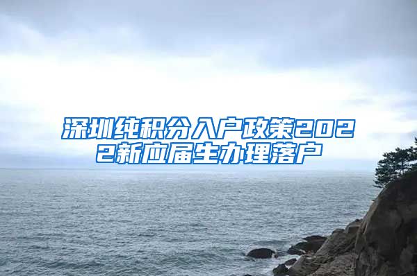 深圳纯积分入户政策2022新应届生办理落户