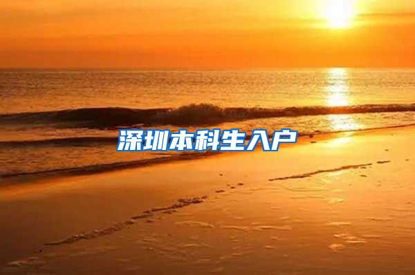 深圳本科生入户