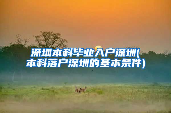 深圳本科毕业入户深圳(本科落户深圳的基本条件)