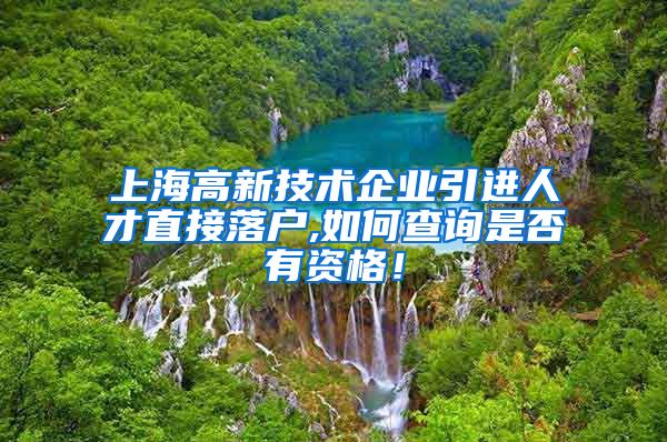 上海高新技术企业引进人才直接落户,如何查询是否有资格！