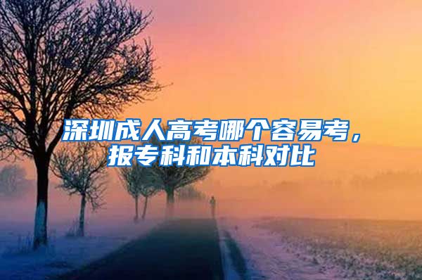 深圳成人高考哪个容易考，报专科和本科对比