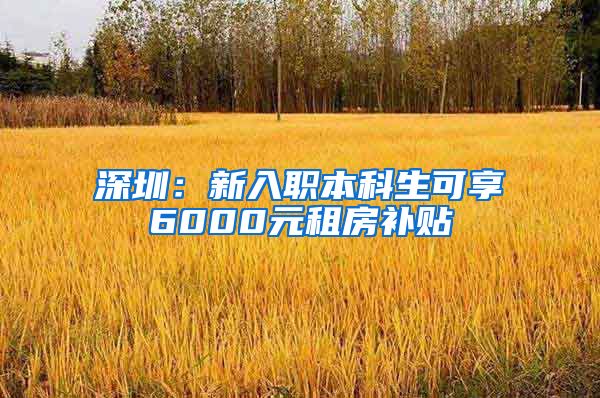 深圳：新入职本科生可享6000元租房补贴