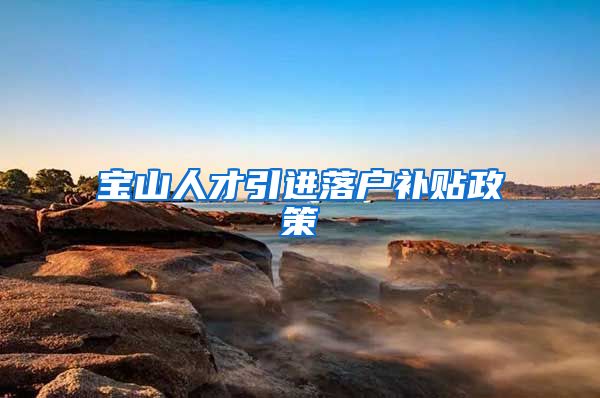 宝山人才引进落户补贴政策