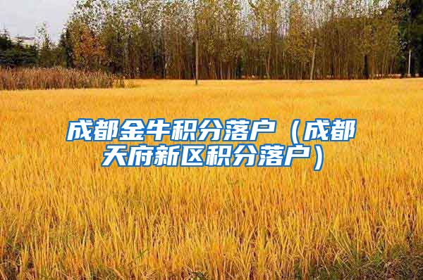 成都金牛积分落户（成都天府新区积分落户）