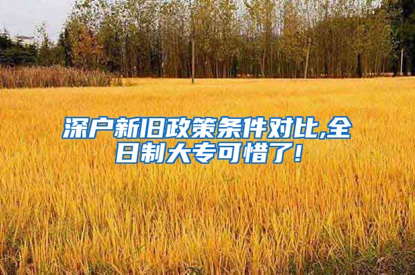 深户新旧政策条件对比,全日制大专可惜了!