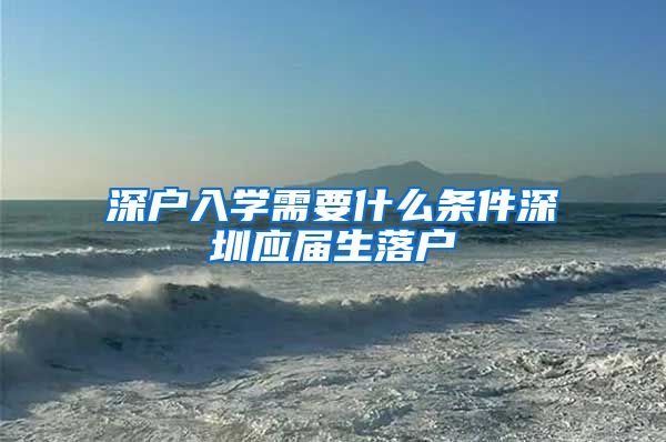 深户入学需要什么条件深圳应届生落户