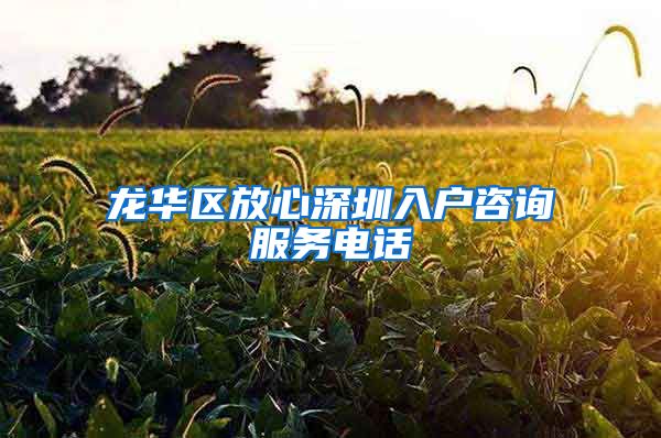 龙华区放心深圳入户咨询服务电话