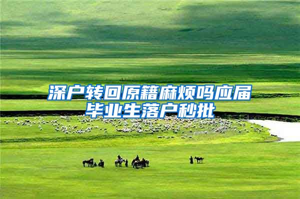 深户转回原籍麻烦吗应届毕业生落户秒批