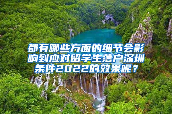 都有哪些方面的细节会影响到应对留学生落户深圳条件2022的效果呢？