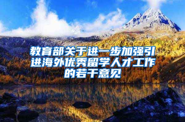教育部关于进一步加强引进海外优秀留学人才工作的若干意见
