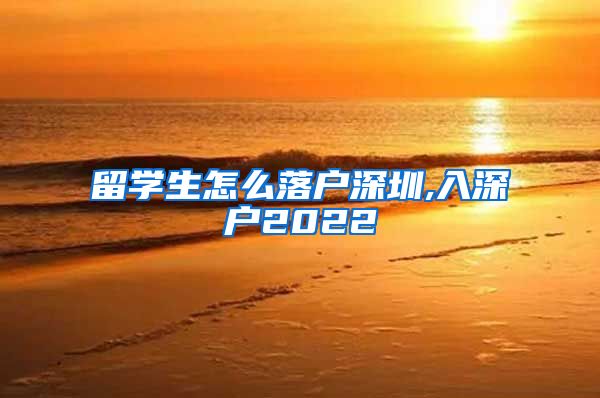 留学生怎么落户深圳,入深户2022