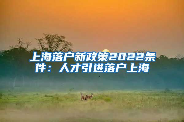 上海落户新政策2022条件：人才引进落户上海