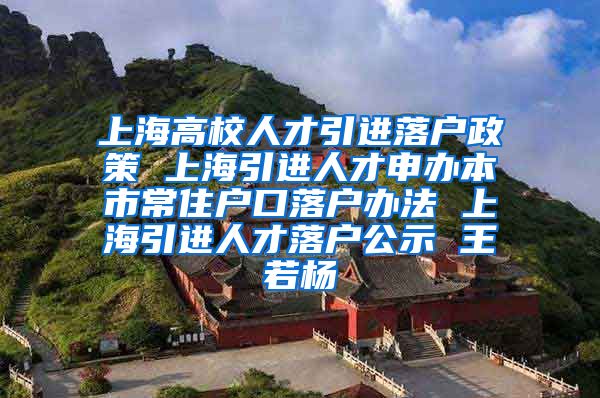 上海高校人才引进落户政策 上海引进人才申办本市常住户口落户办法 上海引进人才落户公示 王若杨