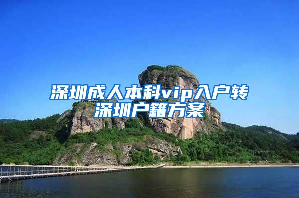 深圳成人本科vip入户转深圳户籍方案