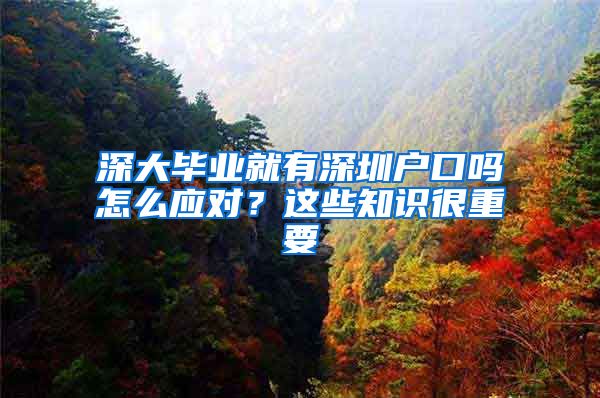 深大毕业就有深圳户口吗怎么应对？这些知识很重要