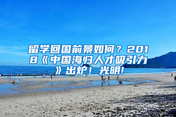 留学回国前景如何？2018《中国海归人才吸引力》出炉！光明!